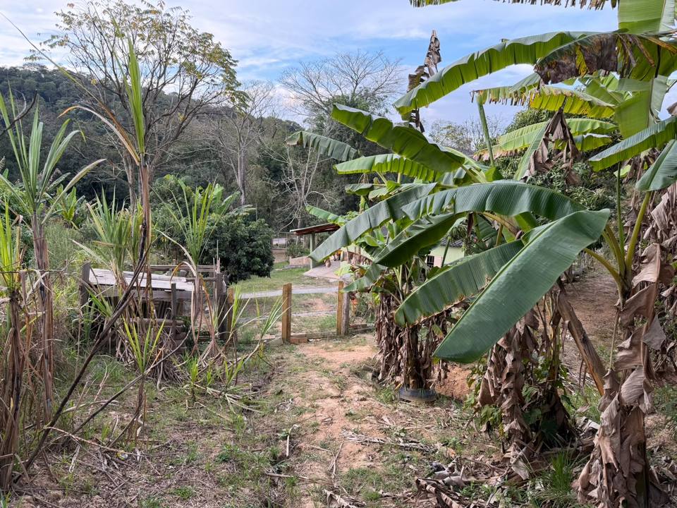 Foto de Chacara em Piedade, 3.300 m2